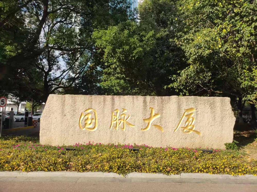 国脉大厦 (5).jpg